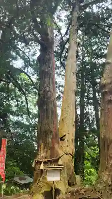 高藏寺(宮城県)