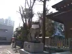 お三の宮日枝神社の狛犬