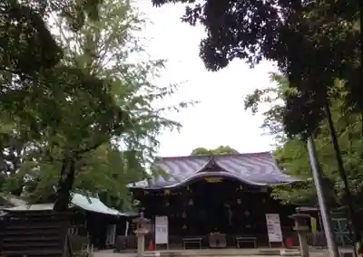 渋谷氷川神社(東京都)