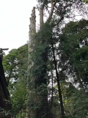 幣立神宮(熊本県)