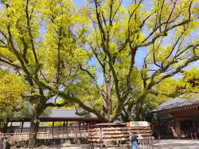 熱田神宮のその他建物