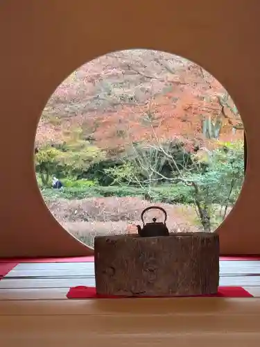 明月院の{uncategorized: "未分類", other: "その他", undefined: "問題あり", building: "その他建物", grave: "お墓", sacred_gate: "鳥居", guardian: "狛犬", statue: "像", buddha: "仏像", history: "歴史", nature: "自然", garden: "庭園", animal: "動物", pagoda: "塔", temizu: "手水舎", mountain_gate: "山門・神門", sanctuary: "本殿・本堂", subordinate: "末社・摂社", art: "芸術", scenery: "景色", jizo: "地蔵", ema: "絵馬", goshuin: "御朱印", omikuji: "おみくじ", items: "授与品その他", amulet: "お守り", goshuincho: "御朱印帳", eats: "食事", festival: "お祭り", votive_dance: "神楽", shichigosan: "七五三参", wedding: "結婚式", experience: "体験その他", initially: "初詣", around: "周辺", anti_infection: "感染症対策"}