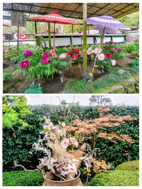 上野東照宮の{uncategorized: "未分類", other: "その他", undefined: "問題あり", building: "その他建物", grave: "お墓", sacred_gate: "鳥居", guardian: "狛犬", statue: "像", buddha: "仏像", history: "歴史", nature: "自然", garden: "庭園", animal: "動物", pagoda: "塔", temizu: "手水舎", mountain_gate: "山門・神門", sanctuary: "本殿・本堂", subordinate: "末社・摂社", art: "芸術", scenery: "景色", jizo: "地蔵", ema: "絵馬", goshuin: "御朱印", omikuji: "おみくじ", items: "授与品その他", amulet: "お守り", goshuincho: "御朱印帳", eats: "食事", festival: "お祭り", votive_dance: "神楽", shichigosan: "七五三参", wedding: "結婚式", experience: "体験その他", initially: "初詣", around: "周辺", anti_infection: "感染症対策"}