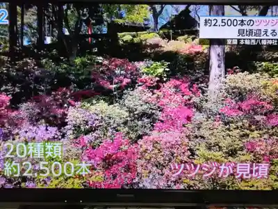 本輪西八幡神社(北海道)