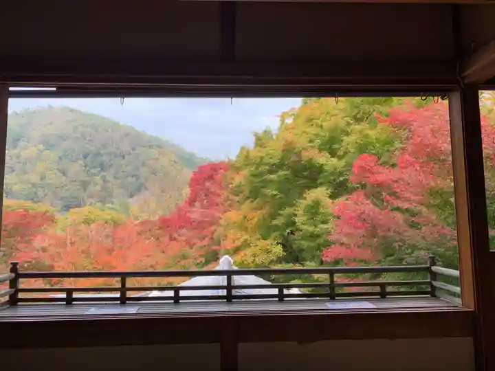 光明寺瑠璃光院の景色