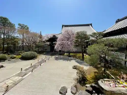 妙顯寺（妙顕寺）の庭園