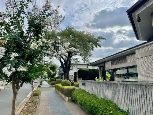 泉龍寺別院(東京都)