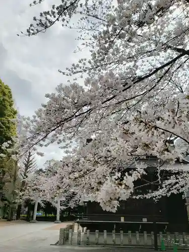 熊野神社の自然