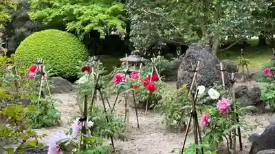 長泉院(埼玉県)