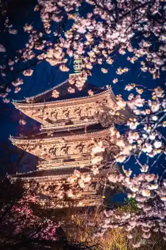 東寺（教王護国寺）の塔