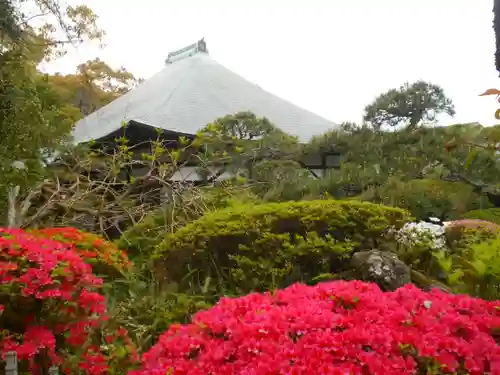 光触寺の庭園