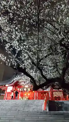 花園神社の本殿・本堂