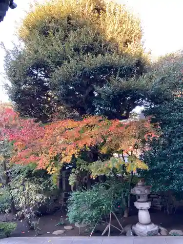 立法寺(東京都)