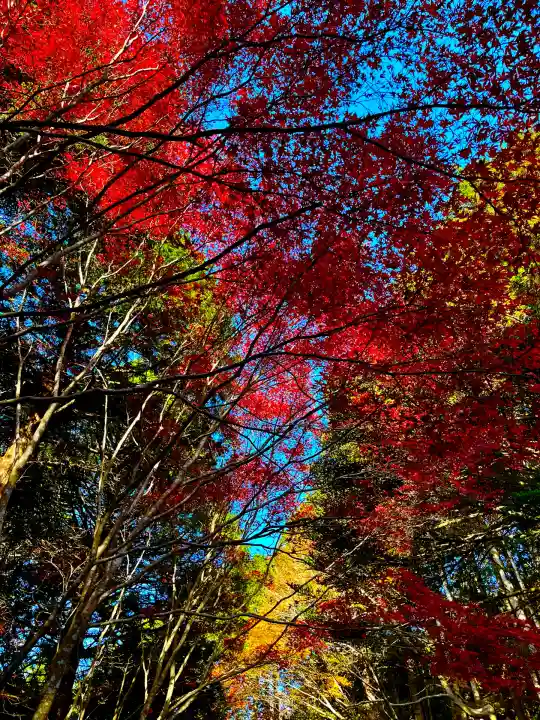 零羊崎神社(宮城県)