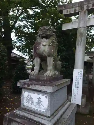 入間野神社の狛犬