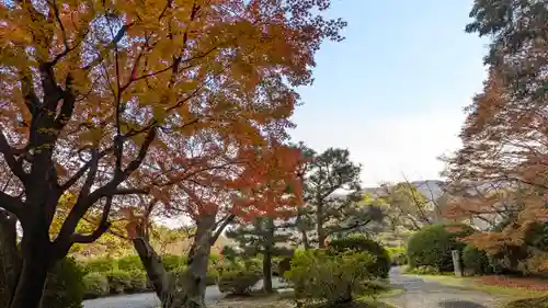 隨心院（随心院）(京都府)