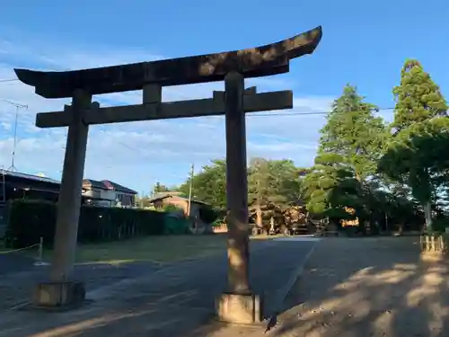 白幡神社の鳥居