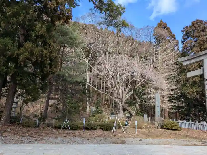 函館八幡宮(北海道)