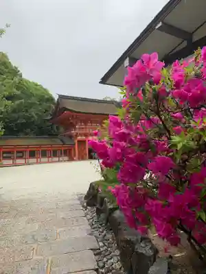 賀茂御祖神社（下鴨神社）(京都府)