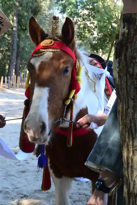 出雲伊波比神社(埼玉県)