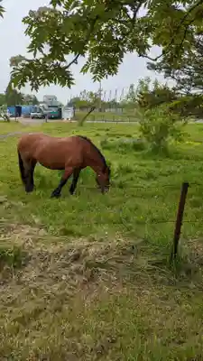大楽毛神社(北海道)