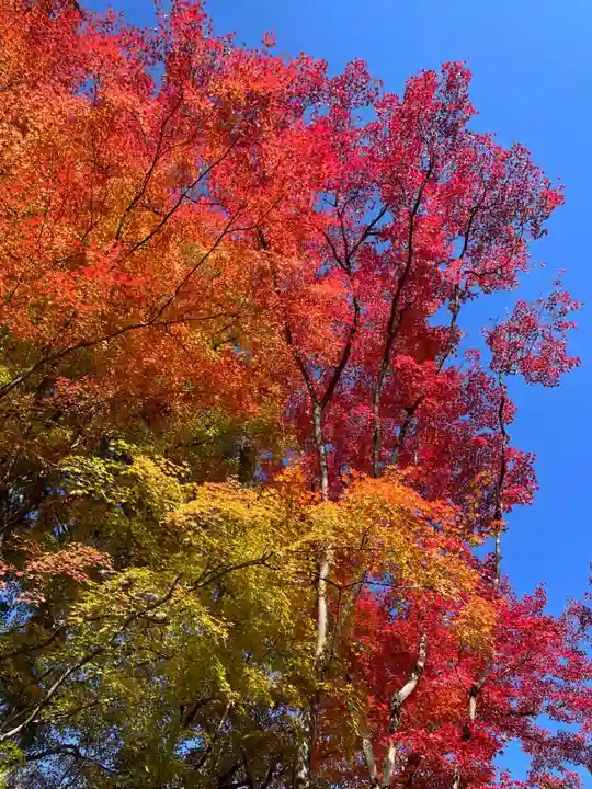 来迎院(京都府)