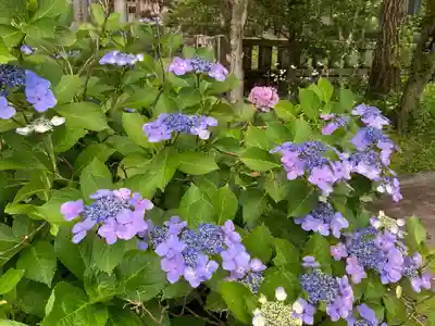 山梨縣護國神社(山梨県)