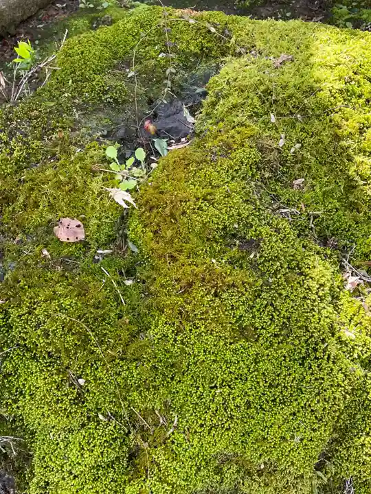 勝持寺(花の寺)(京都府)