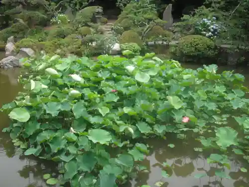 光明寺の庭園