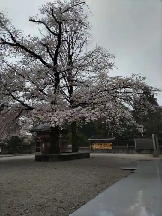 諏訪神社のその他建物