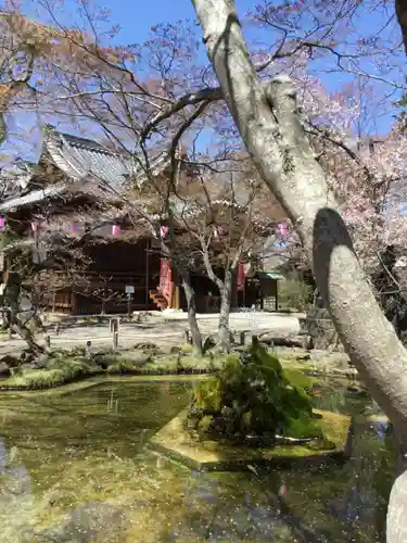 懐古神社の庭園