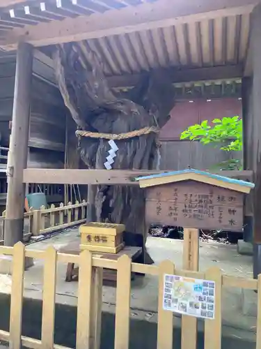 鶴嶺八幡宮(神奈川県)