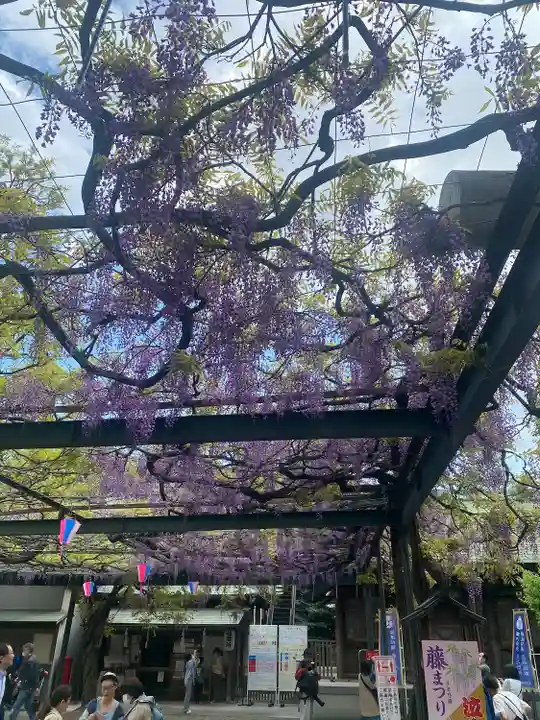 國領神社(東京都)