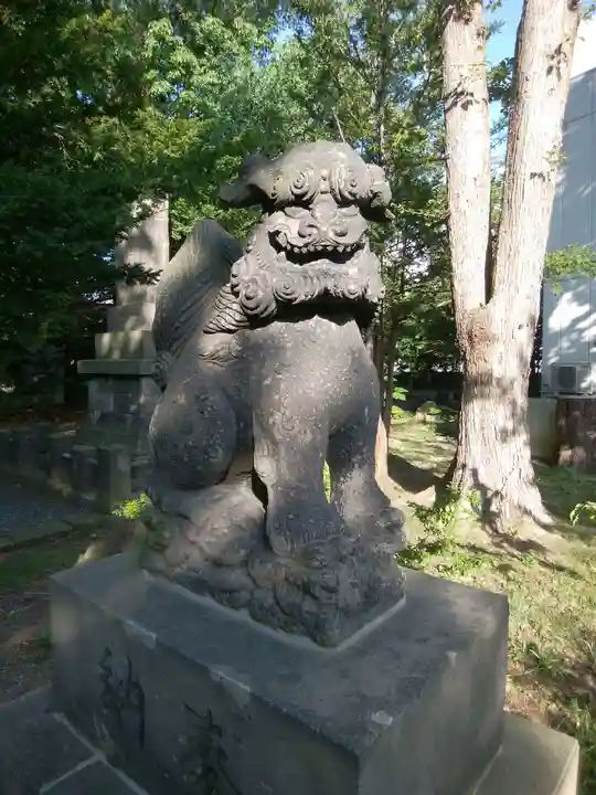 新琴似神社の狛犬
