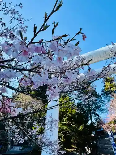 土津神社｜こどもと出世の神さま(福島県)