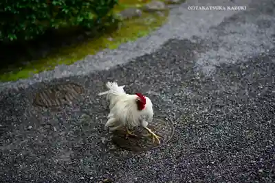 伊勢神宮内宮（皇大神宮）(三重県)