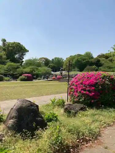 玉敷神社(埼玉県)