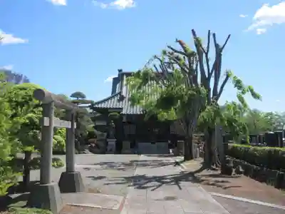 本城寺(群馬県)