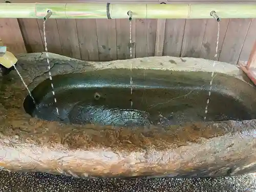 賀茂御祖神社（下鴨神社）(京都府)