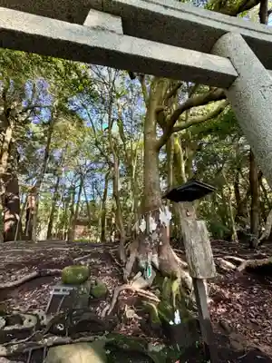 出雲大社(島根県)