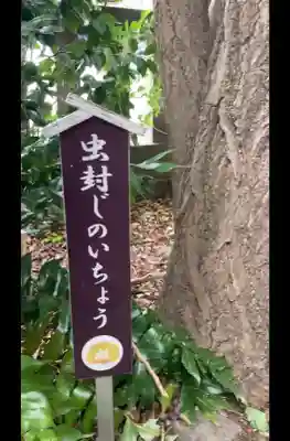 行田八幡神社(埼玉県)