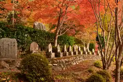 金剛寺(高知県)