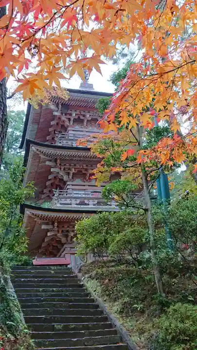 岩殿山安楽寺(吉見観音)の塔
