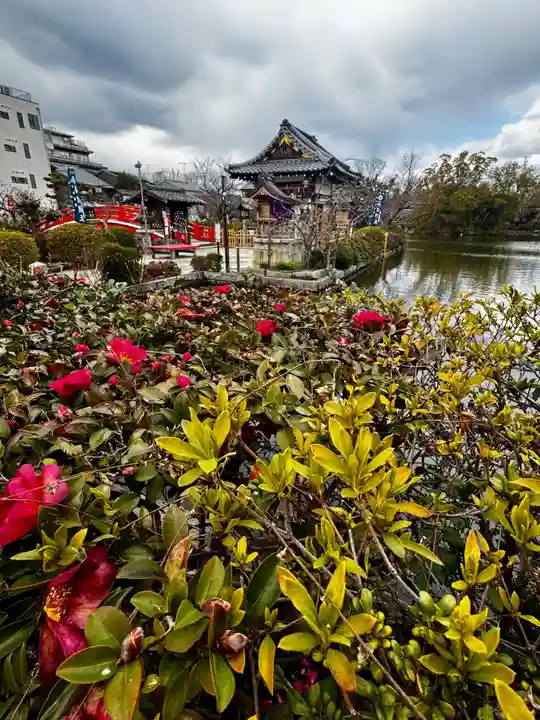 神泉苑(京都府)