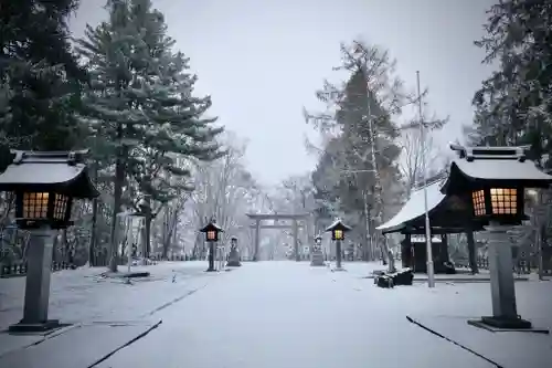 鷹栖神社の景色