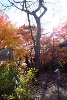 勝持寺（花の寺）(京都府)
