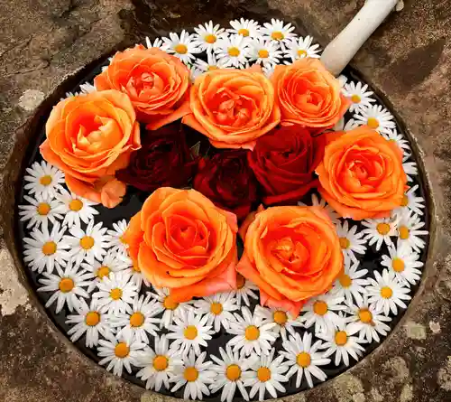 真言宗　善通寺派　薬王寺(香川県)