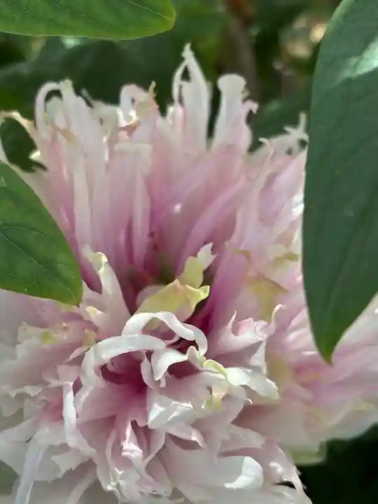 薬師院(兵庫県)