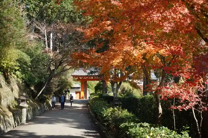 三室戸寺(京都府)