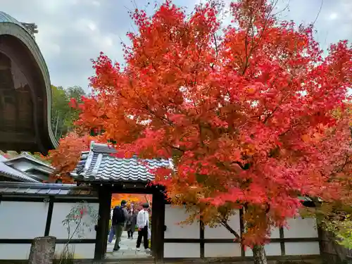 圓光寺の建物その他